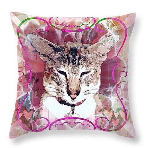 Cushion measuring 16x16 inches complete with zip and hollow fibre insert.Free Postage within uk 😀