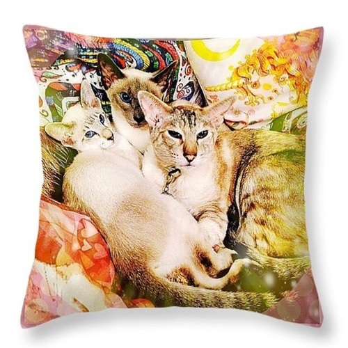 Cushion measuring 16x16 inches complete with zip and hollow fibre insert. Free Postage within uk 😀