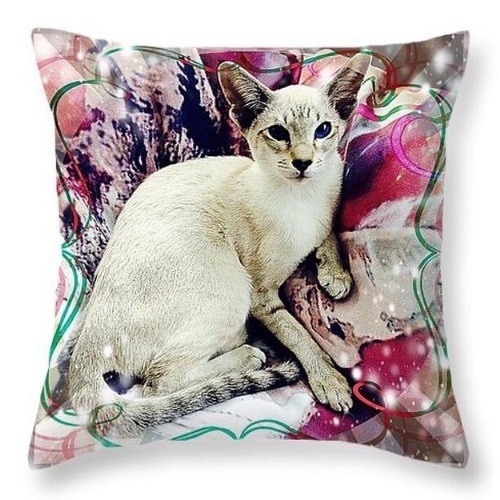 Cushion measuring 16x16 inches complete with zip and hollow fibre insert. Free Postage within uk 😀