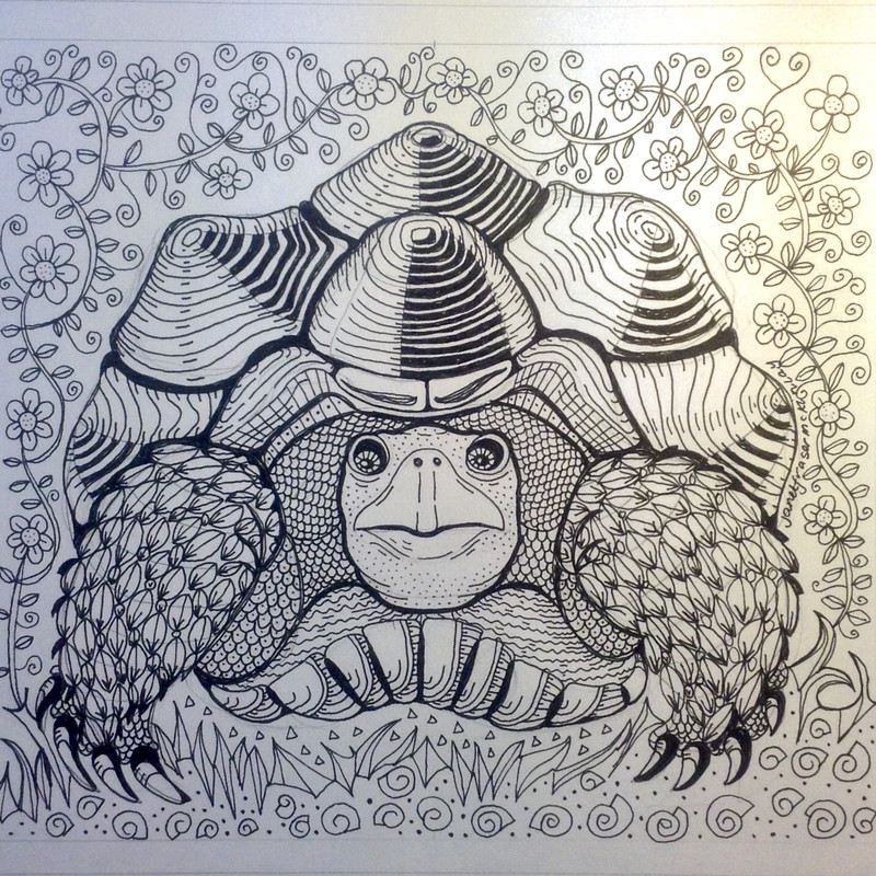 Large A3 Zen black and white design to colour, printed on heavy weight paper. Free Postage 😀