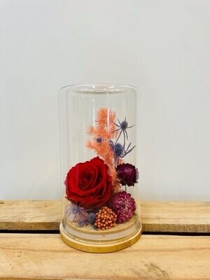 Preserved flower cloche workshop May 30th 7pm