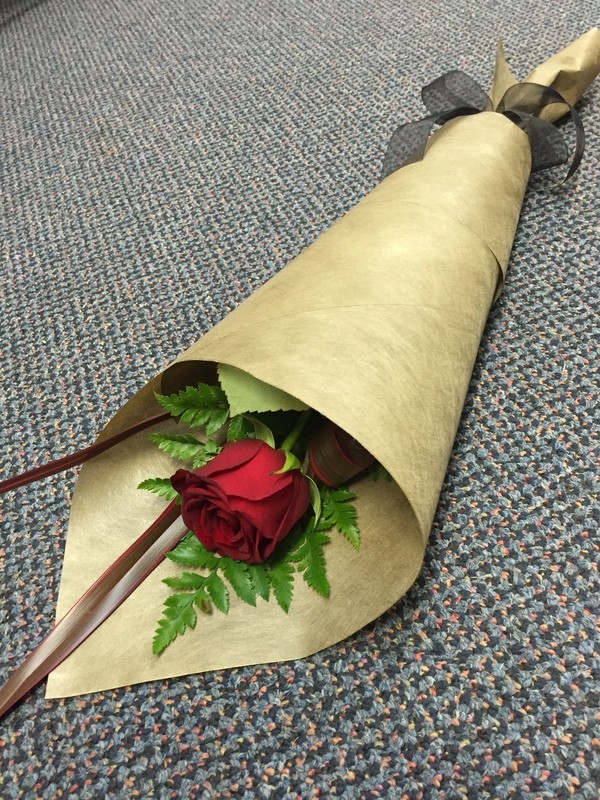 Single rose