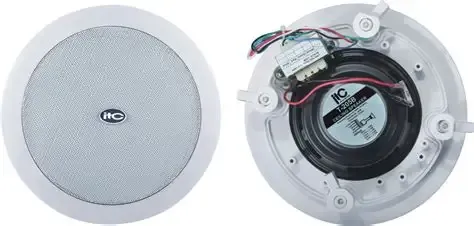 C T-208A BOCINA DE CIELO FALSO COAXIAL WOFFER