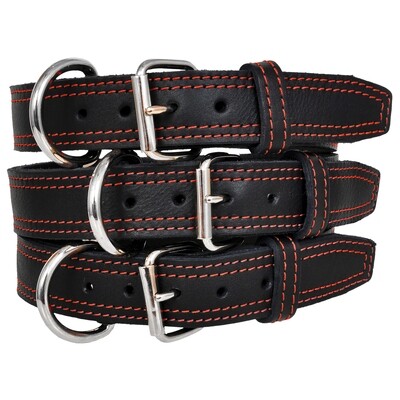 Dog, leashes and collars