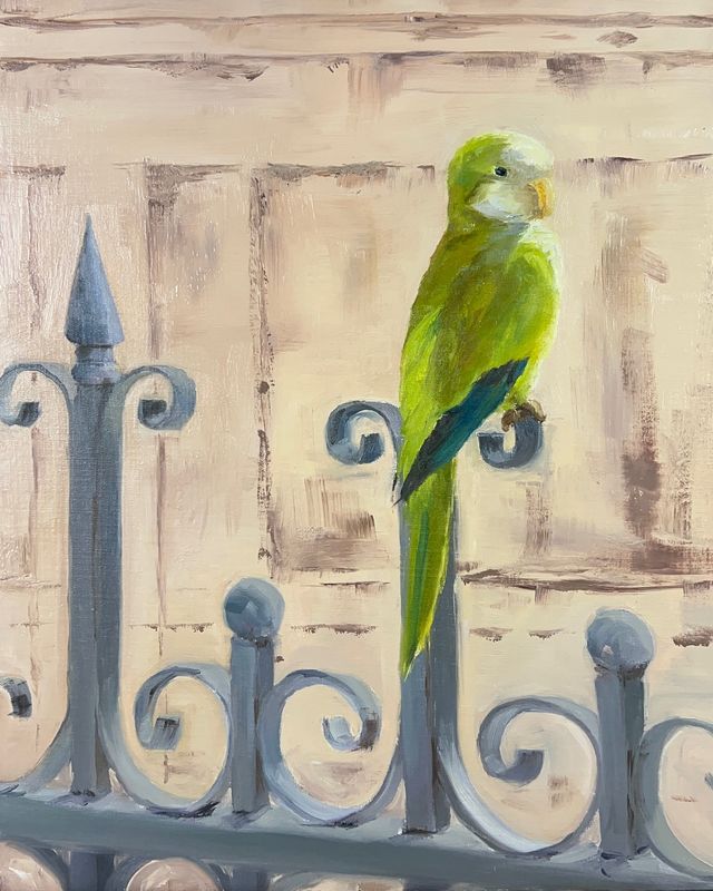 Pretty Bird Pretty Bird