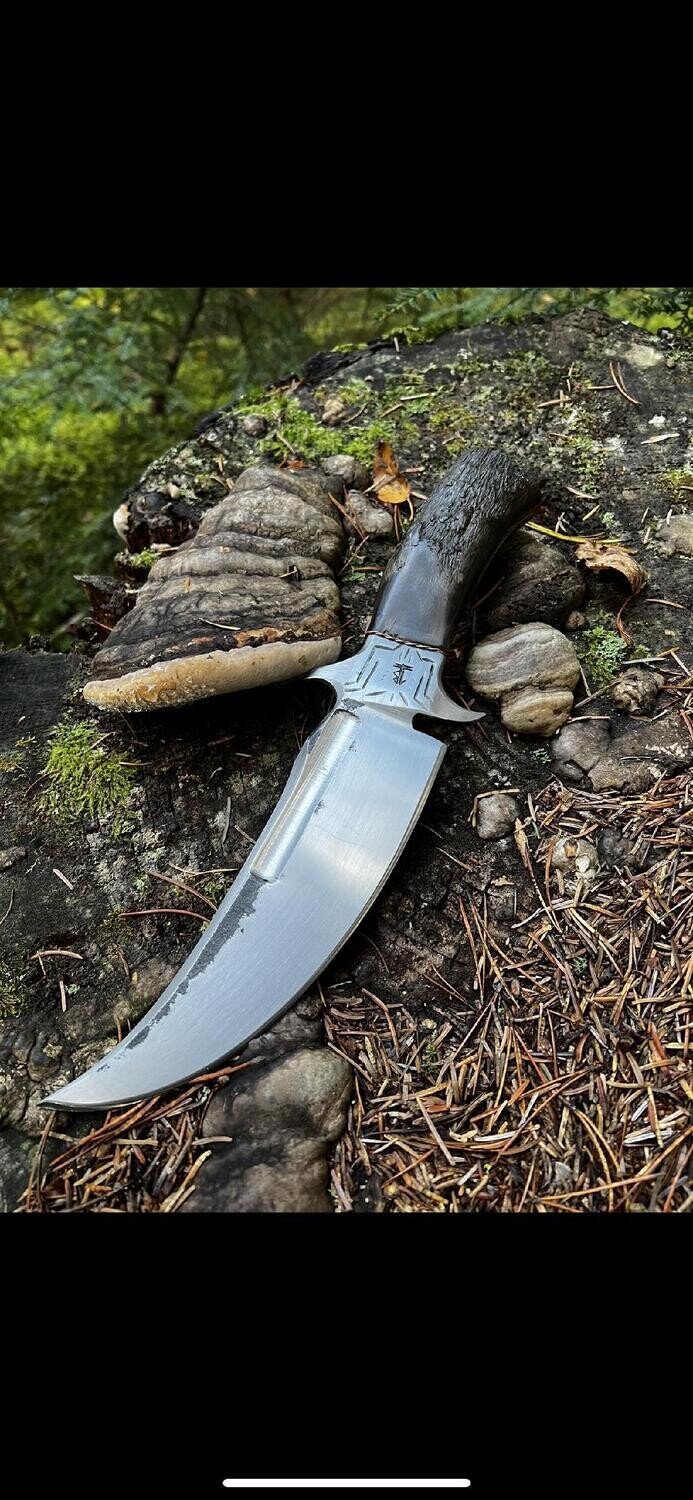 Alaska Tundra Series (011) Raptor