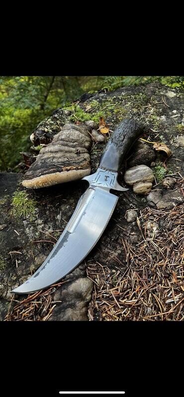 Alaska Tundra Series (011) Raptor