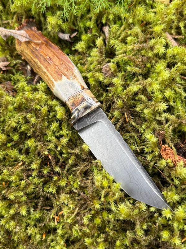 Alaska Tundra Series (016)