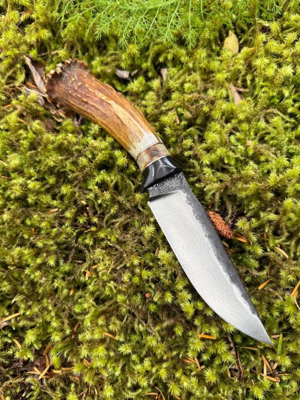 Alaska Tundra Series (018)