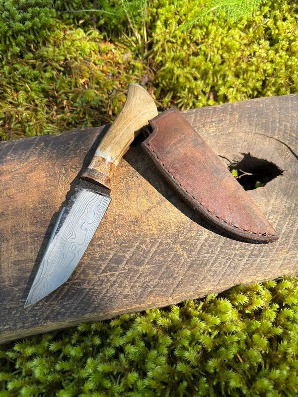 Alaska Tundra Series (020)