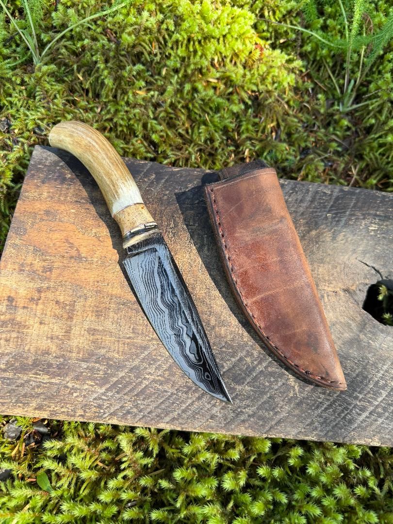 Alaska Tundra Series (021)