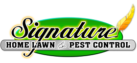 Online Store