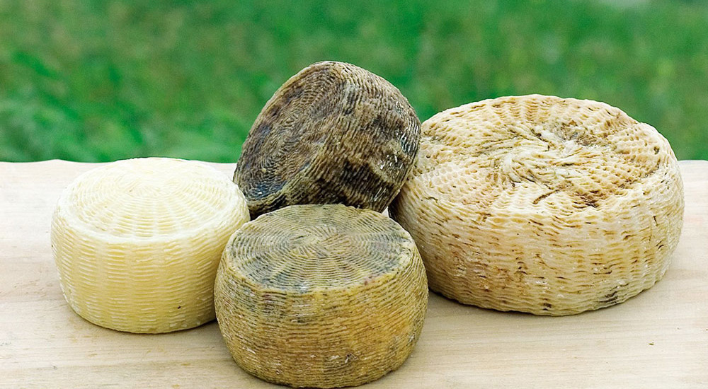 Pecorino Sardo