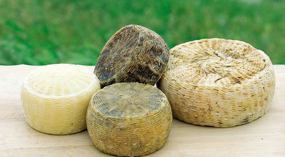 Pecorino Sardo