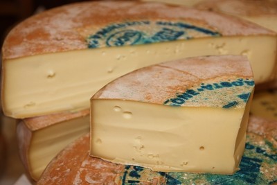 Fontina