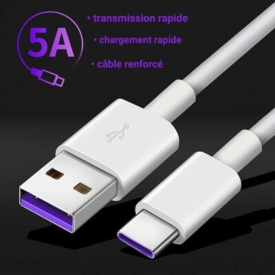 Loup blanc™ chargeur rapide usb-c 5A