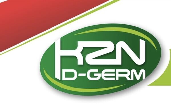Online Store