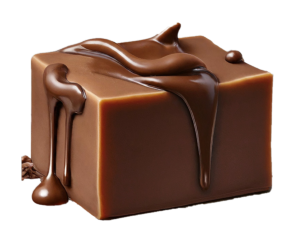 Dark Chocolate Fudge - 12ounce