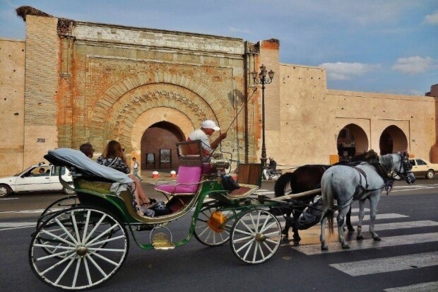 Une belle et diverssante balade de calèche de 2 heures à marrakech