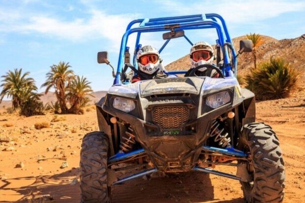 Balade à dos de chameau et buggy dans la Palmeraie.