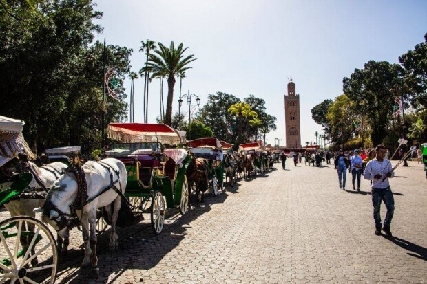 Une belle et diverssante balade de calèche de 2 heures à marrakech