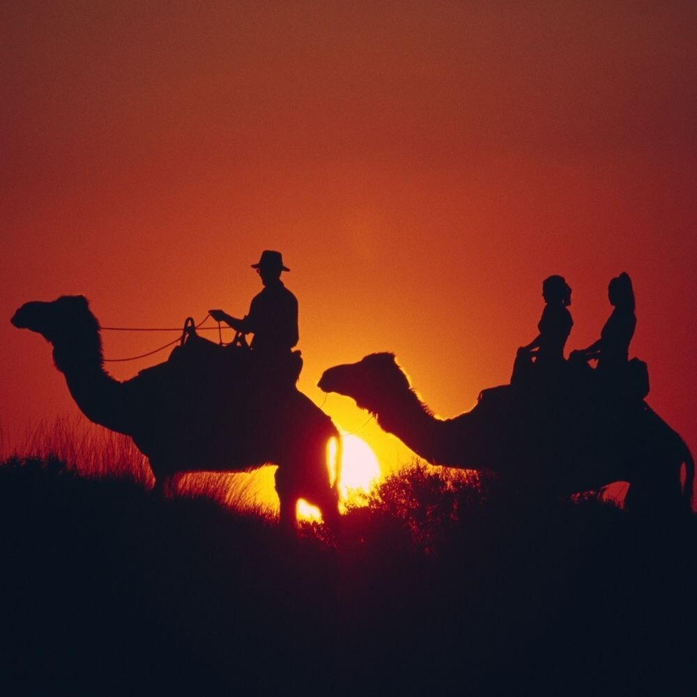 Balade à dos de chameau avec coucher de soleil à la palmeraie Marrakech