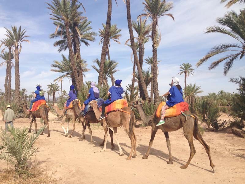 Balade à dos de chameau avec coucher de soleil à la palmeraie Marrakech