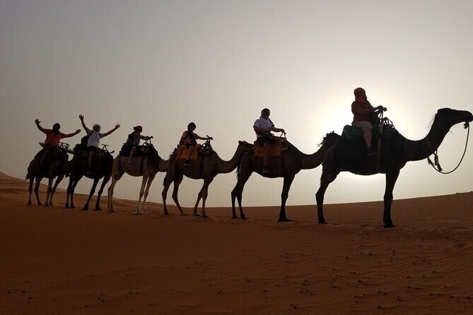 Expérience de Coucher de soleil à dos de Chameau dans le Desert d&#39;Agafay