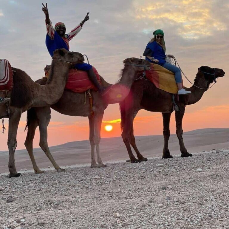 Expérience de Coucher de soleil à dos de Chameau dans le Desert d&#39;Agafay