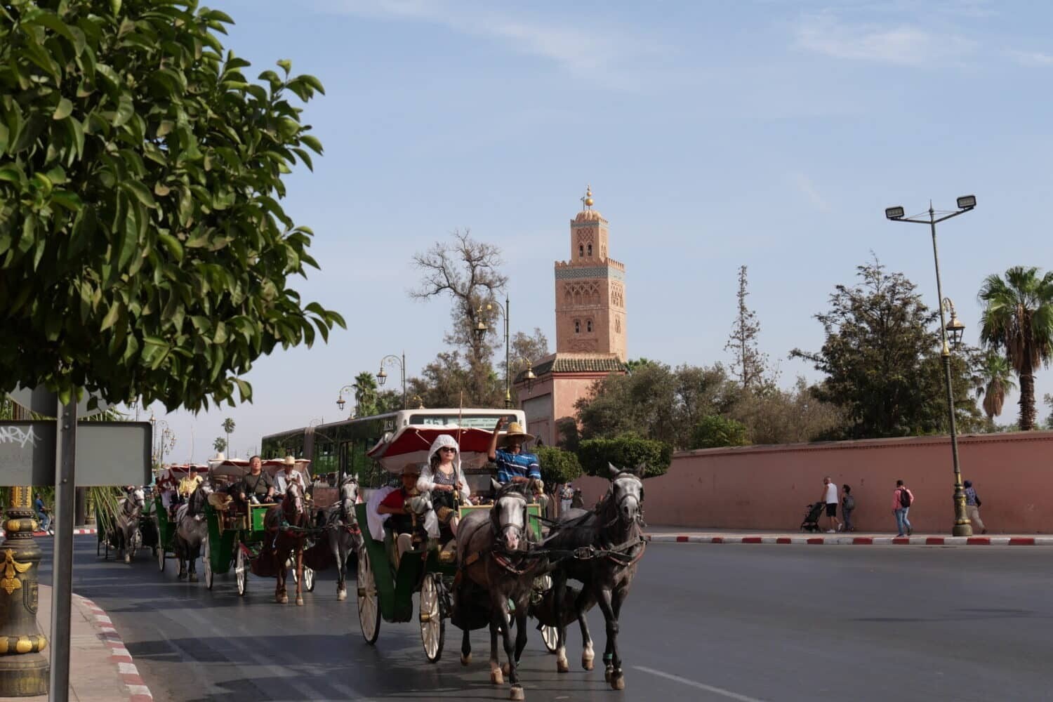Une belle et diverssante balade de calèche de 2 heures à marrakech