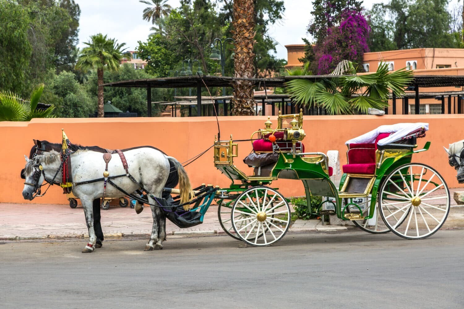 Une belle et diverssante balade de calèche de 2 heures à marrakech