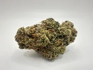 THCA - Exotic Flower - GMO