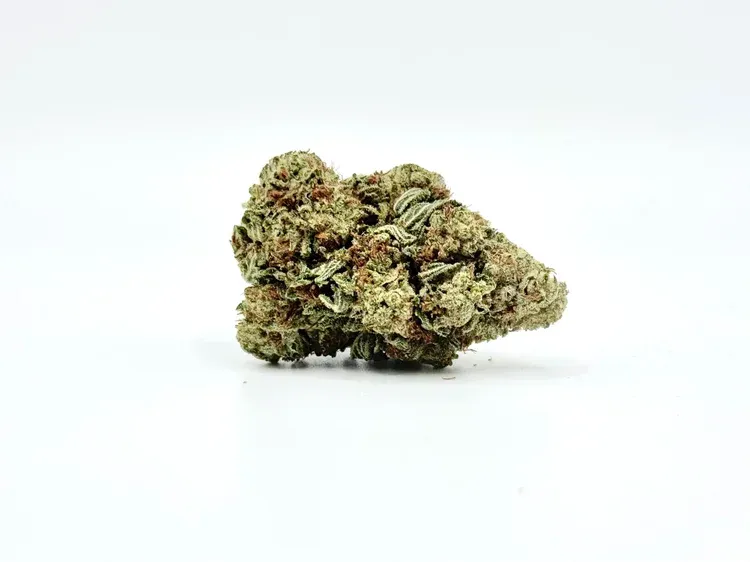 THCA - Small Flower - Gelato King