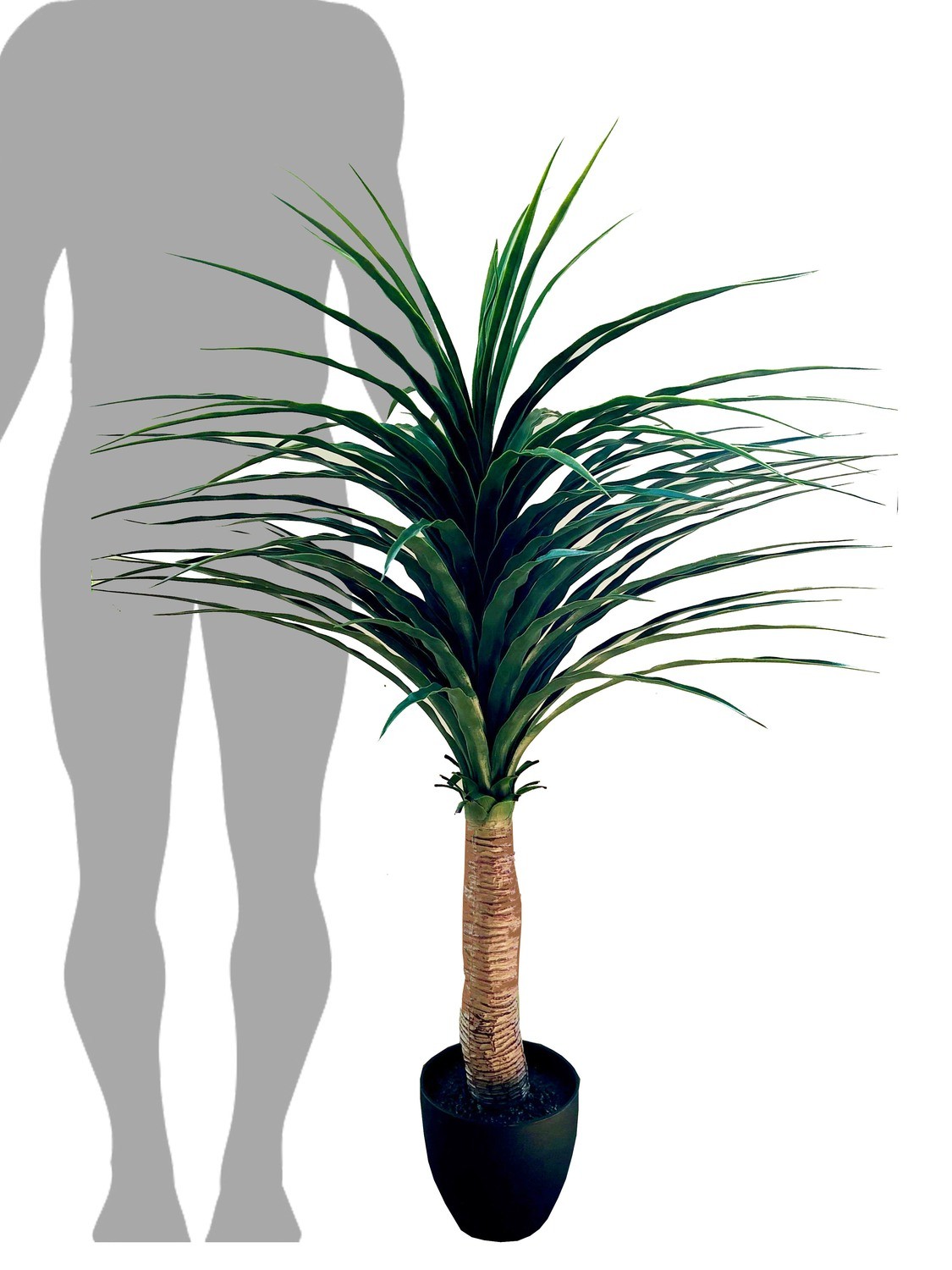 Palm Tree Medium