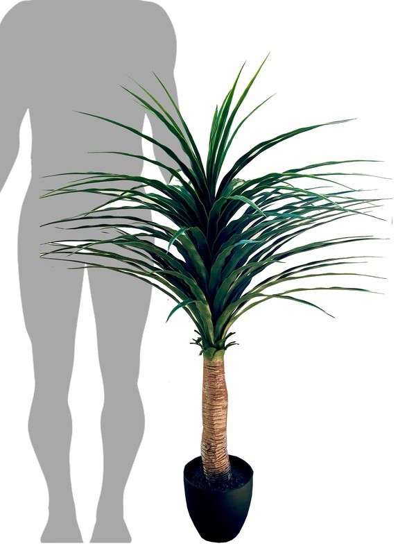 Palm Tree Medium