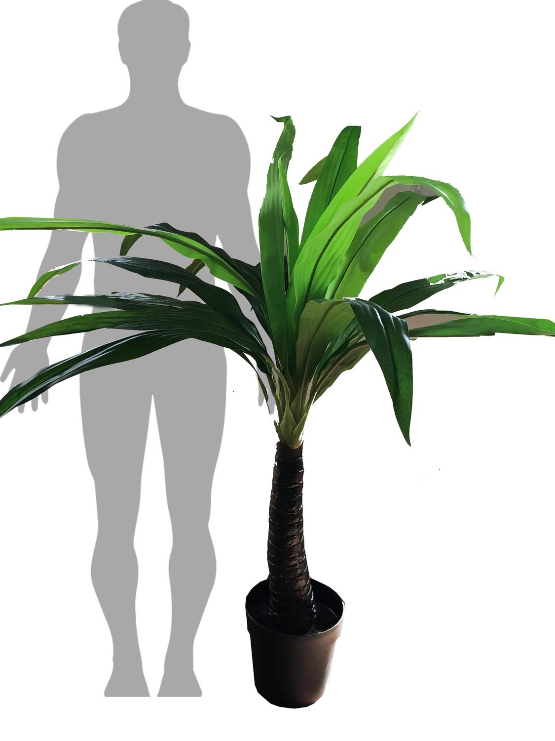 Palm Tree Large