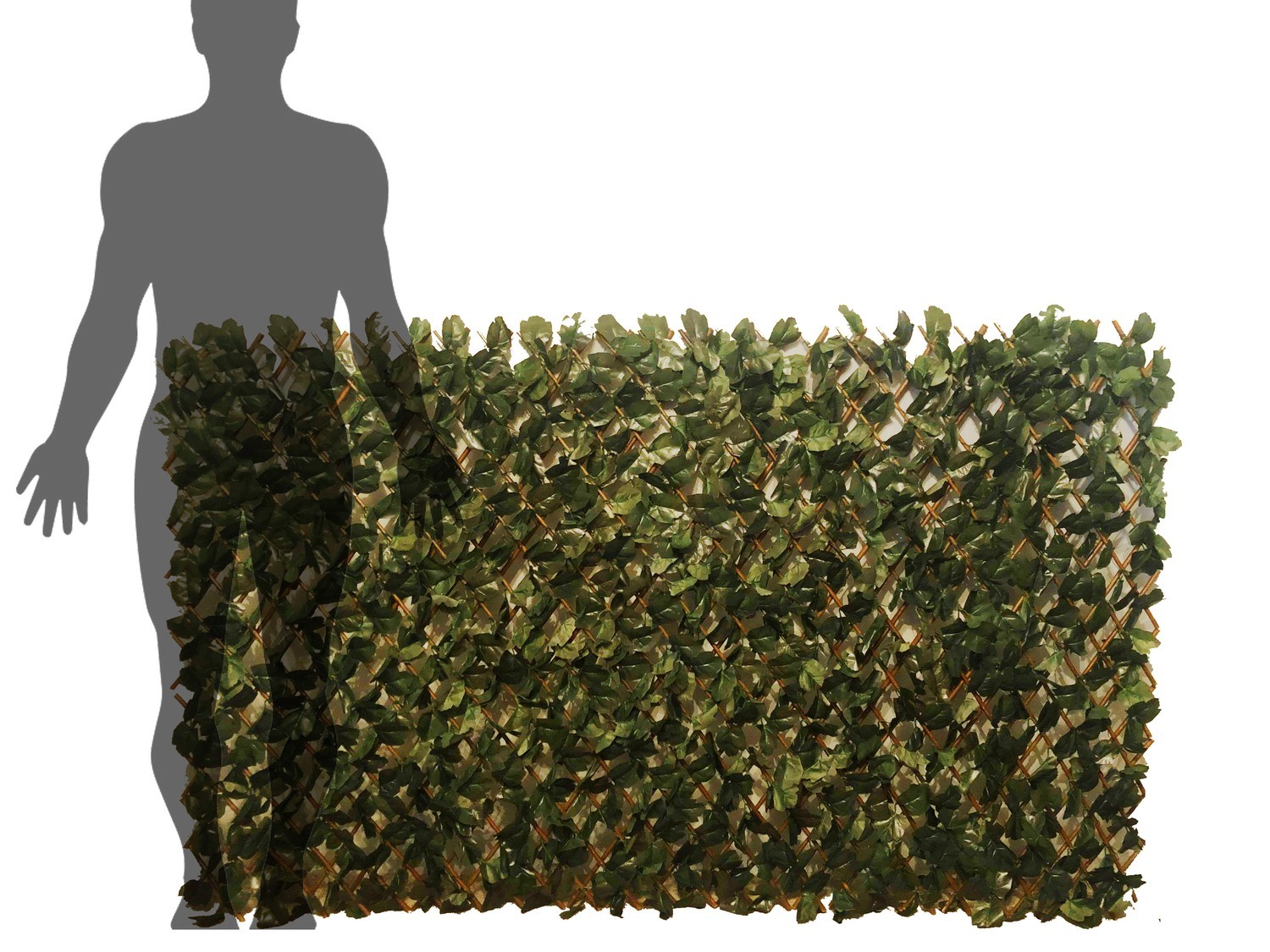 Leaf Wall