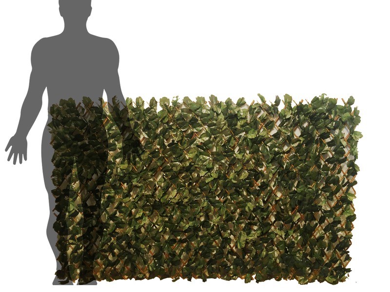 Leaf Wall