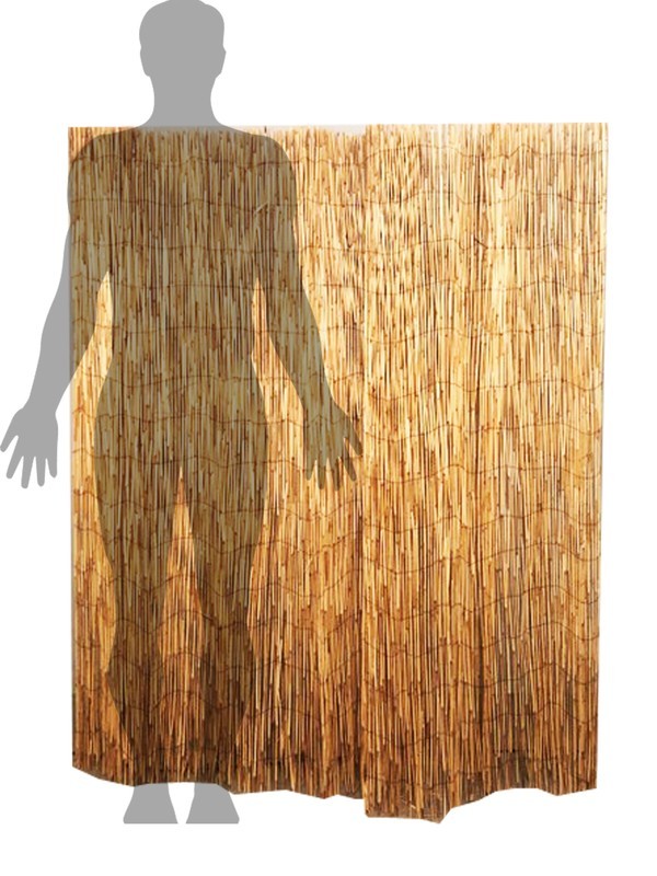 Bamboo Fence
