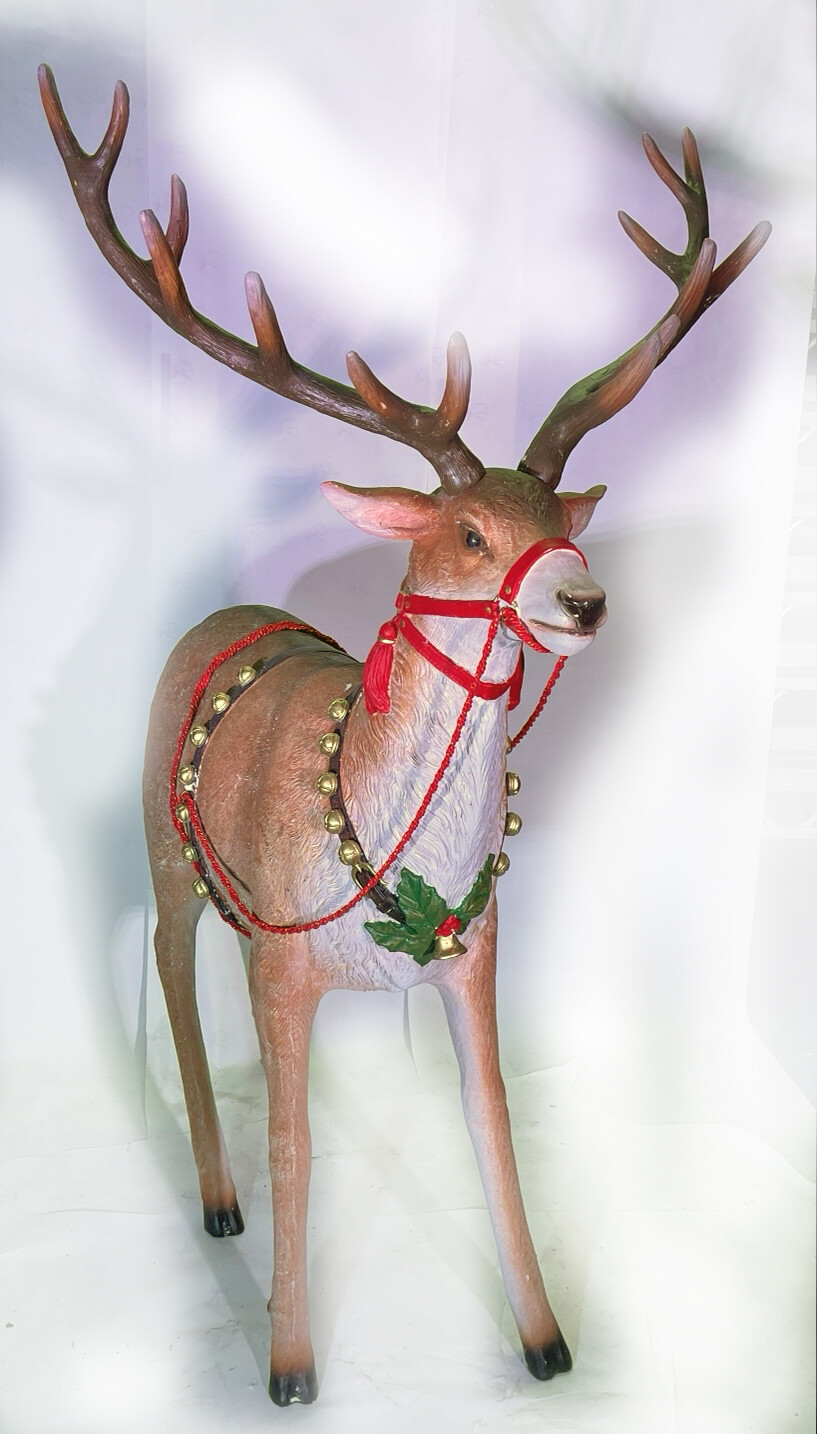 Reindeer