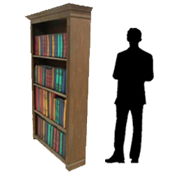 Fake Book Cases