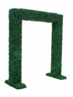 Box Hedge Door