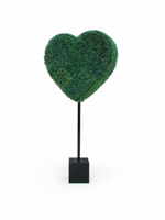 Hedge Heart