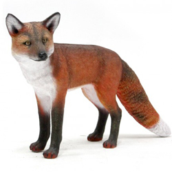 Fox