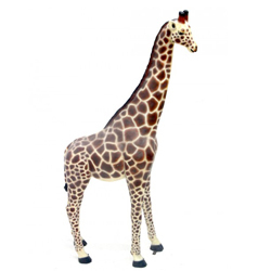 Full Size Giraffe