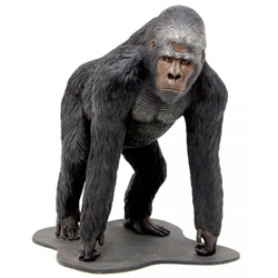 Gorilla