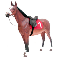 Horse Racing