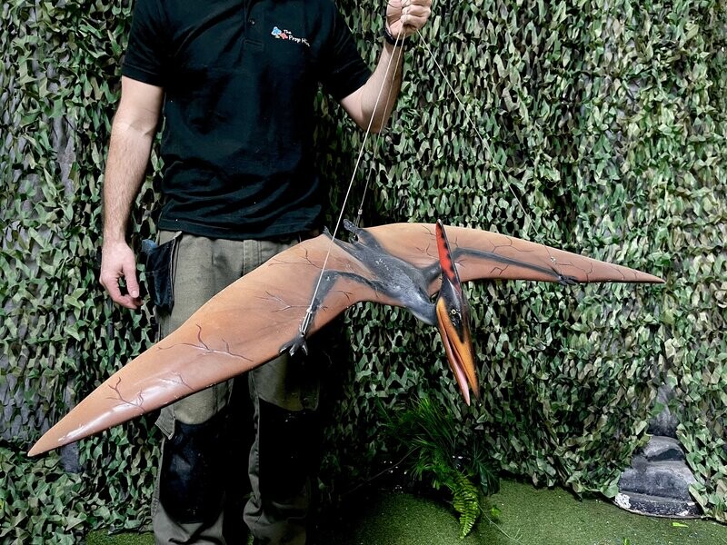 Pterodactyl