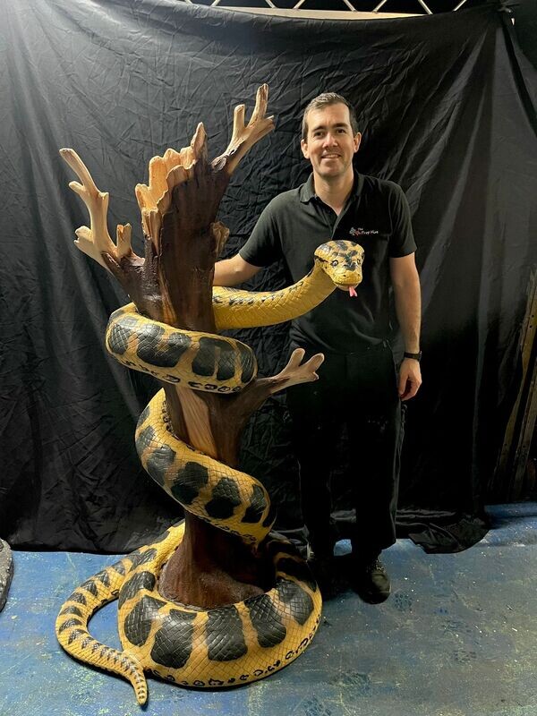 Anaconda On A Tree