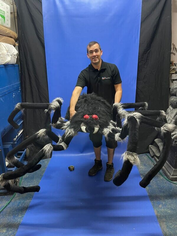 Giant Spider